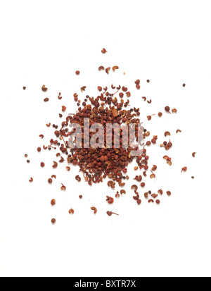 Farchiew Spice oder Szechuan oder Sichuan-Pfefferkörner, weit gewachsen und verbraucht in Asien als Gewürz Stockfoto