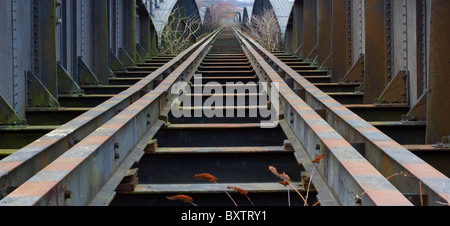 Alte Eisenbahnbrücke zwischen Blaydon und Scotswood auf Tyneside Stockfoto