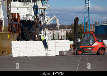 Übertragung von Papier Fracht an Lager vom Schiff Frachtraum Gabelstapler. Montrose Docks Stockfoto