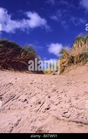 Tyrella Strand und Düne Conservation Area, Dundrum Bay. Stockfoto