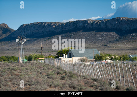 Eine kleine landwirtschaftliche Siedlung in der Nähe von Klaarstroom in den Swartbergen, Karoo, Südafrika Stockfoto