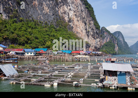 Stelted Muslim Fishing Village with Fish Farming NETs, Ko Panyi, Phang-Nga Bay, Phang-Nga Province, Thailand, Südostasien Stockfoto