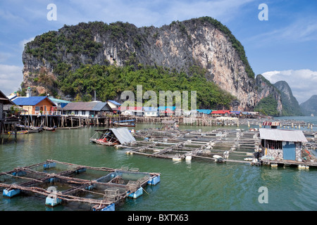 Stelted Fishing Village with Fish Farming NETs, Ko Panyi, Phang-Nga Bay, Phang-Nga Province, Thailand, Südostasien Stockfoto