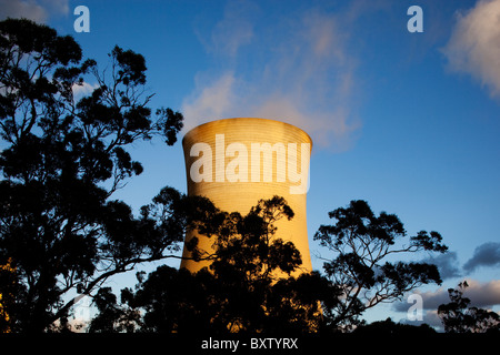 Australien, Victoria, Yallourn, Dampf steigt aus Kühltürmen bei Kohle-Tru Energie Kraftwerk am Sommerabend Stockfoto