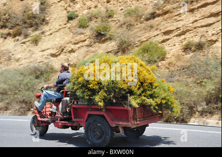 Landwirt fahren eines LKW und Wagen mit frisch geschnittenen Pflanzen in Lassithi, Kreta, Griechenland Stockfoto