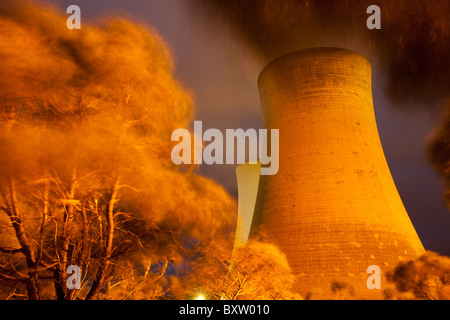 Australien Victoria Yallourn Zeitaufwand von Eukalyptusbäumen wehen im Wind unter Dampf Entlüftung vom kühlen Türme am Stockfoto