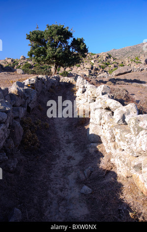 Alten Pfad, gesäumt von Steinmauern, auf dem Lande in der Nähe von Volax, auf den griechischen Kykladen Insel Tinos. Stockfoto