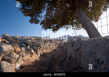 Alten Pfad, gesäumt von Steinmauern, auf dem Lande in der Nähe von Volax, auf den griechischen Kykladen Insel Tinos. Stockfoto