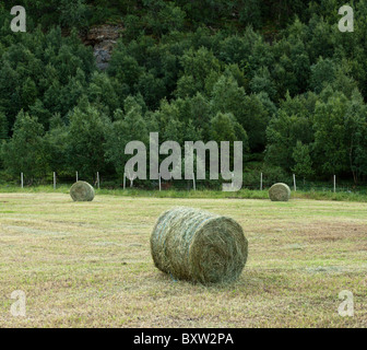 Großen Heu Ball auf neue gemähte Wiese. Stockfoto