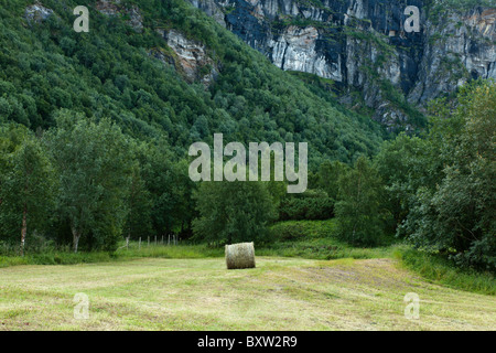 Großen Heu Ball auf neue gemähte Wiese. Stockfoto