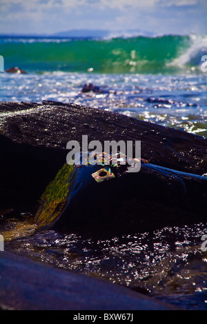 Eine bunte Schale Halskette Verlegung auf bunten Felsen im Meer mit schönen Welle brechen im Hintergrund Stockfoto