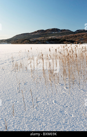 Das Eis bedeckt See von Menteith, Region Stirling, Schottland, UK. In den Loch Lomond und den Trossacks-Nationalpark. Stockfoto