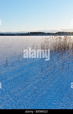 Das Eis bedeckt See von Menteith, Region Stirling, Schottland, UK. In den Loch Lomond und den Trossacks-Nationalpark. Stockfoto