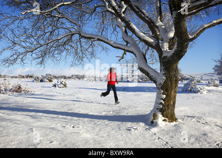 Schneeverhältnissen in der Nähe von Yelverton auf Dartmoor, Devon, UK. Stockfoto