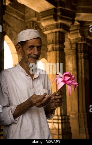 Ein muslimischer Mann hält eine rosa Lotusblüte in der Bai Harir Moschee in Ahmedabad, Gujarat, Indien. Stockfoto