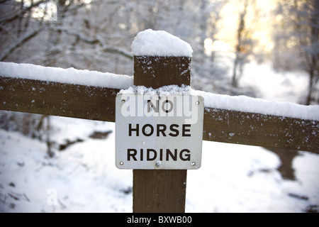 Kein Pferd Reiten Zeichen auf einem Zaun. Stockfoto