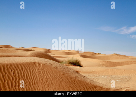 Tunesien-Sahara-Dünen Stockfoto