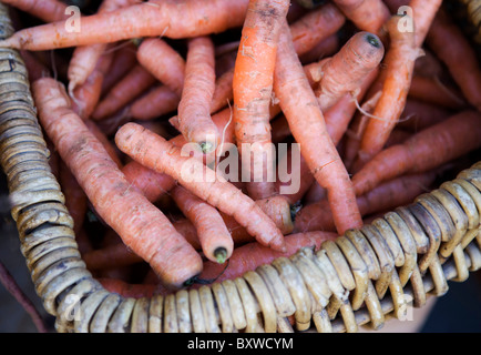 Einen Korb mit Karotten Stockfoto