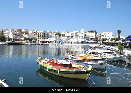 Angelboote/Fischerboote im Hafen von Agios Nikolaos auf Kreta Stockfoto