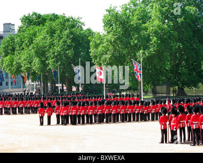 Troopng die Farbe, traditionell, London, Uk, Englisch Jahresveranstaltung in Pferd schützt Parade. Stockfoto