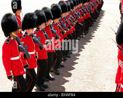 Troopng die Farbe, traditionell, London, Uk, Englisch Jahresveranstaltung in Pferd schützt Parade. Stockfoto