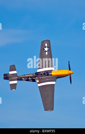 P51 Mustang "Wilder Frankie" Flugzeuge Display beim Goodwood Revival 2010 Stockfoto