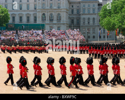 Troopng die Farbe, traditionell, London, Uk, Englisch Jahresveranstaltung in Pferd schützt Parade. Stockfoto