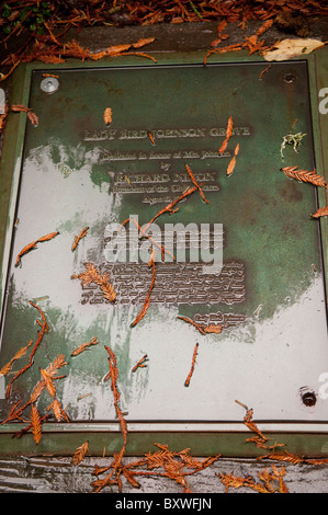 Lady Bird Johnson Grove Trail Stockfoto