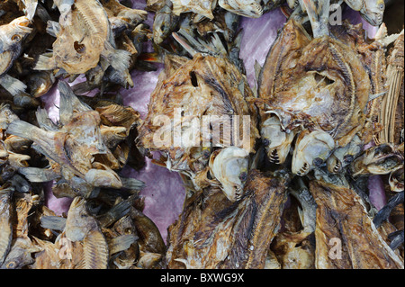 Trockenfisch, verkauft in den Hafen von Mopti in Mali Stockfoto