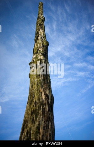 Der Holzstab auf dem Longshaw Anwesen in Derbyshire Stockfoto