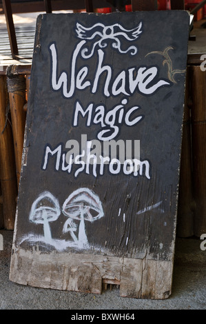 Schild Werbung magische Pilze zu verkaufen, Gili Trawangan, Lombok, Indonesien. Stockfoto