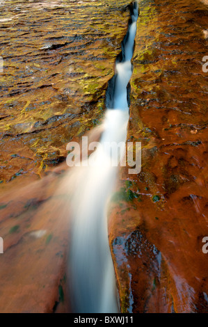 Ein kleiner Bach schnitzt heraus einen Weg in Stein in der Nähe der U-Bahn im Zion National Park Stockfoto