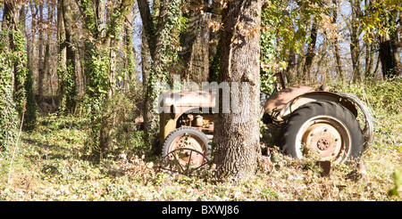 Einen alten rostigen Traktor im Wald aufgegeben Stockfoto