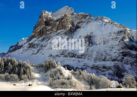 Alpine Pisten mit Blick auf das Wetterhorn. Schweizer Alpen, Schweiz Stockfoto