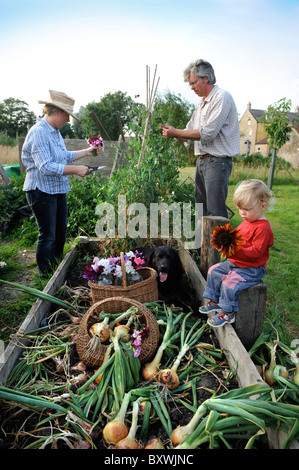 Eine Familie mit einer Ernte von frisch gezapftes Zwiebeln aus einem Hochbeet in einem englischen Garten gemeinsamen Bauernhof Blumen, UK Stockfoto