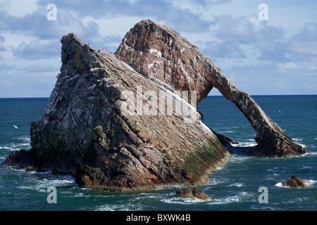 Bogen Sie Geige Rock, Portknockie, Moray, Schottland, Vereinigtes Königreich Stockfoto