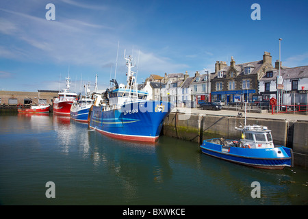 Angelboote/Fischerboote, Macduff Harbour und Crook O Ness Street, Macduff, Aberdeenshire, Schottland, Vereinigtes Königreich Stockfoto