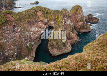 Meereshöhle, Bullers Buchan, südlich von Peterhead in Buchan, Aberdeenshire, Schottland, Vereinigtes Königreich. Stockfoto