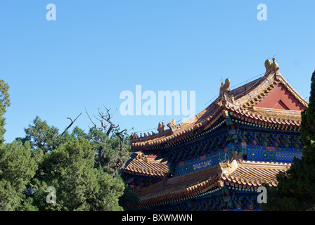 Dächer und Bäume im Pekinger Konfuziustempel des Pavillons Stockfoto