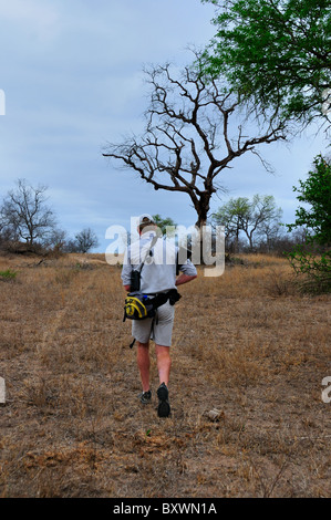 Ein bewaffneten Parkranger Wandern zu Fuß in einem Wildlife-Wildreservat. Kruger National Park, Südafrika. Stockfoto