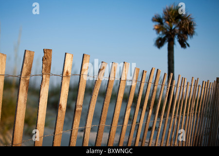 USA, Georgia, Tybee Island, Palmettopalme und Zyklon Zaun entlang Dünen bei Sonnenuntergang am Sommerabend Stockfoto