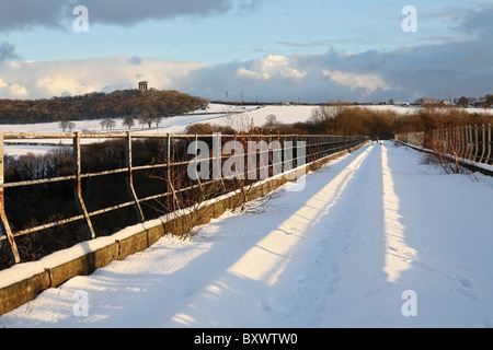 Die stillgelegte Bahnstrecke leamside wie es fließt durch die Victoria Viadukt, Washington, North East England Großbritannien Stockfoto