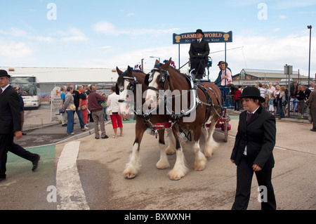 Shire Horse ziehen einen Blockwagen in Whitstable Oyster festival Stockfoto