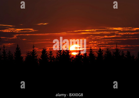 rosa Himmel - Sonnenuntergang Stockfoto