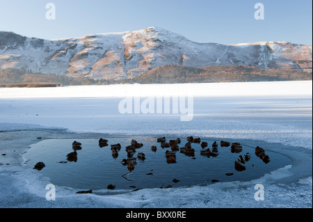 Herde von Mallard Enten im Wasser sitzen, während der Rest der See zugefroren ist. Stockfoto