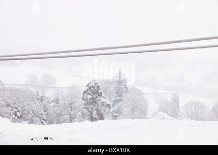 Starker Schneefall beschweren telegraph Kabel unter Loughrigg Ambleside im Lake District, UK. Stockfoto