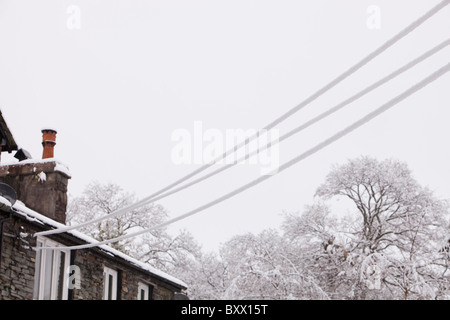 Starker Schneefall beschweren telegraph Kabel unter Loughrigg Ambleside im Lake District, UK. Stockfoto