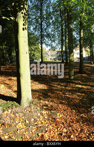 Gawsworth Old Hall, England. Herbstliche Ansicht Gawsworth Gelände mit Gawsworth Old Hall im fernen Hintergrund. Stockfoto