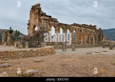 Die Basilika an der Ausgrabungsstätte Volubilis in der Nähe von Moulay Idriss, Marokko, Nordafrika Stockfoto