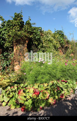 Norton Priory Museum & Gärten. Herbstliche Ansicht von Gertrude Jekyll inspirierte Farbe Grenzübergang Norton Priory Walled Garden. Stockfoto